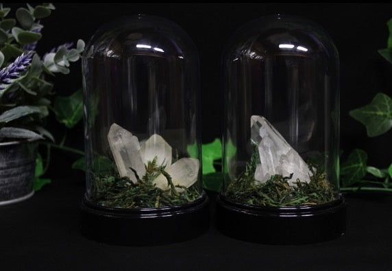 Crystal Moss Fairy Domes