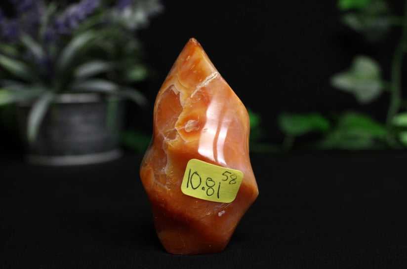 Carnelian Flame