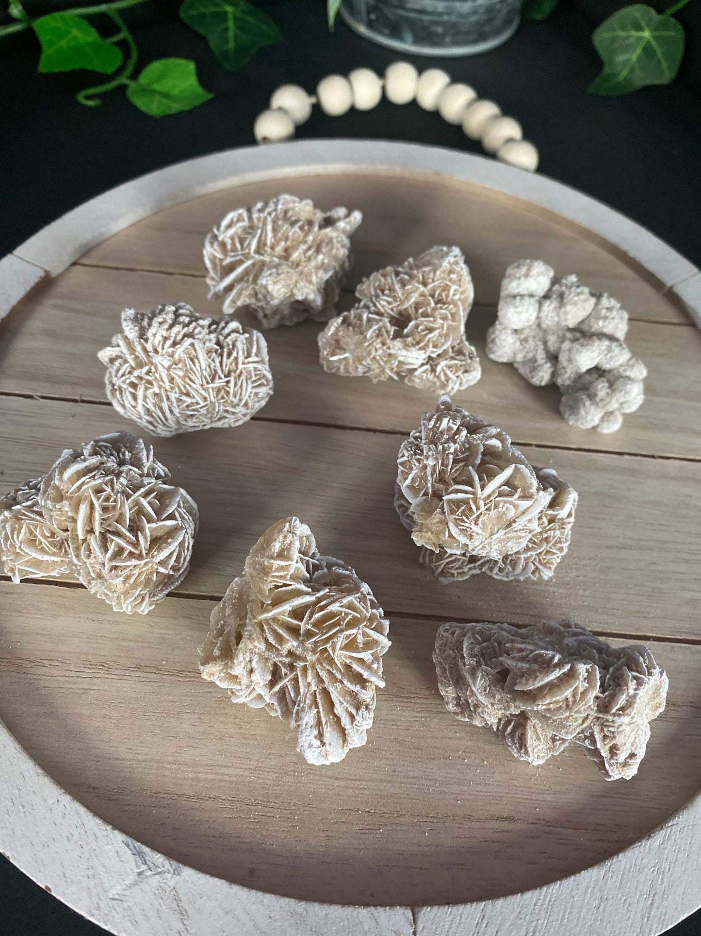 Desert Rose Selenite