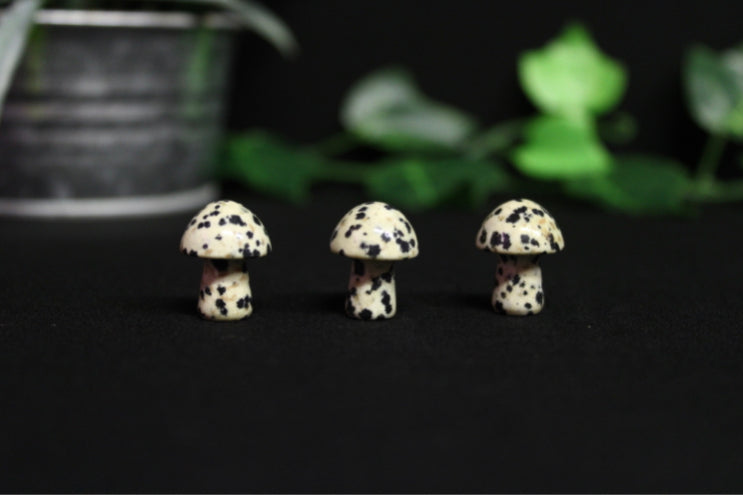 Mini Crystal Mushrooms