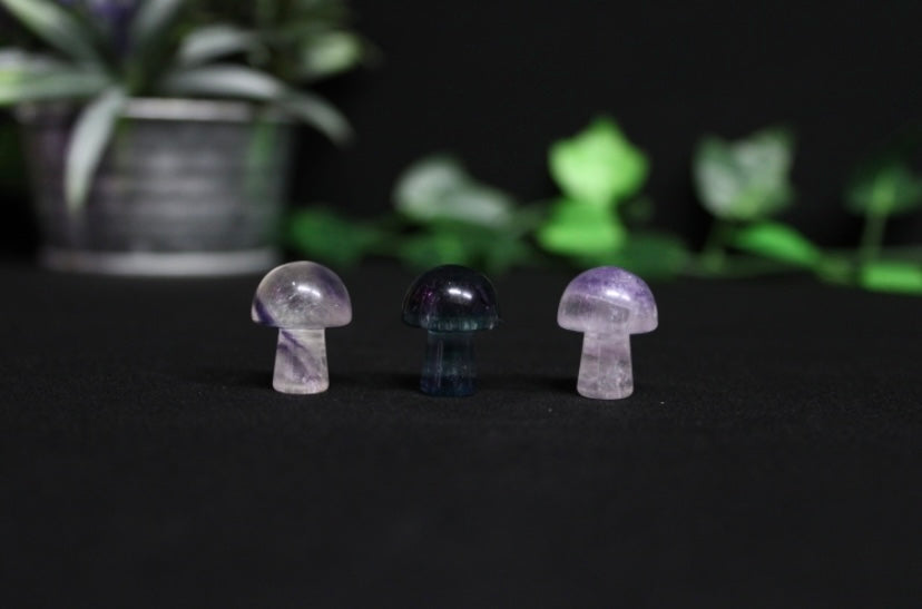 Mini Crystal Mushrooms