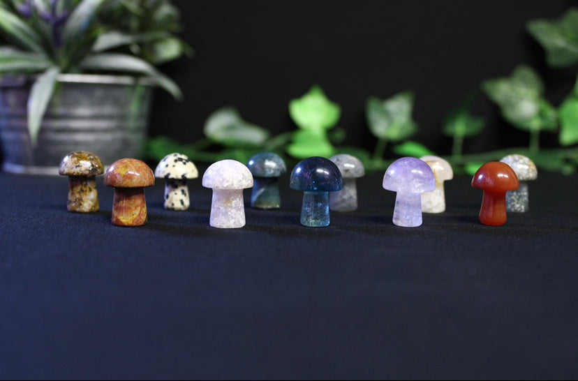 Mini Crystal Mushrooms