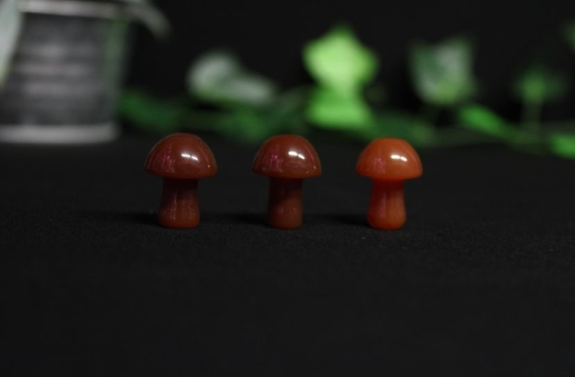 Mini Crystal Mushrooms