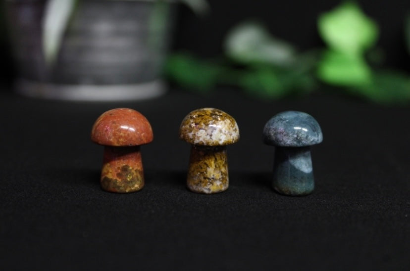 Mini Crystal Mushrooms