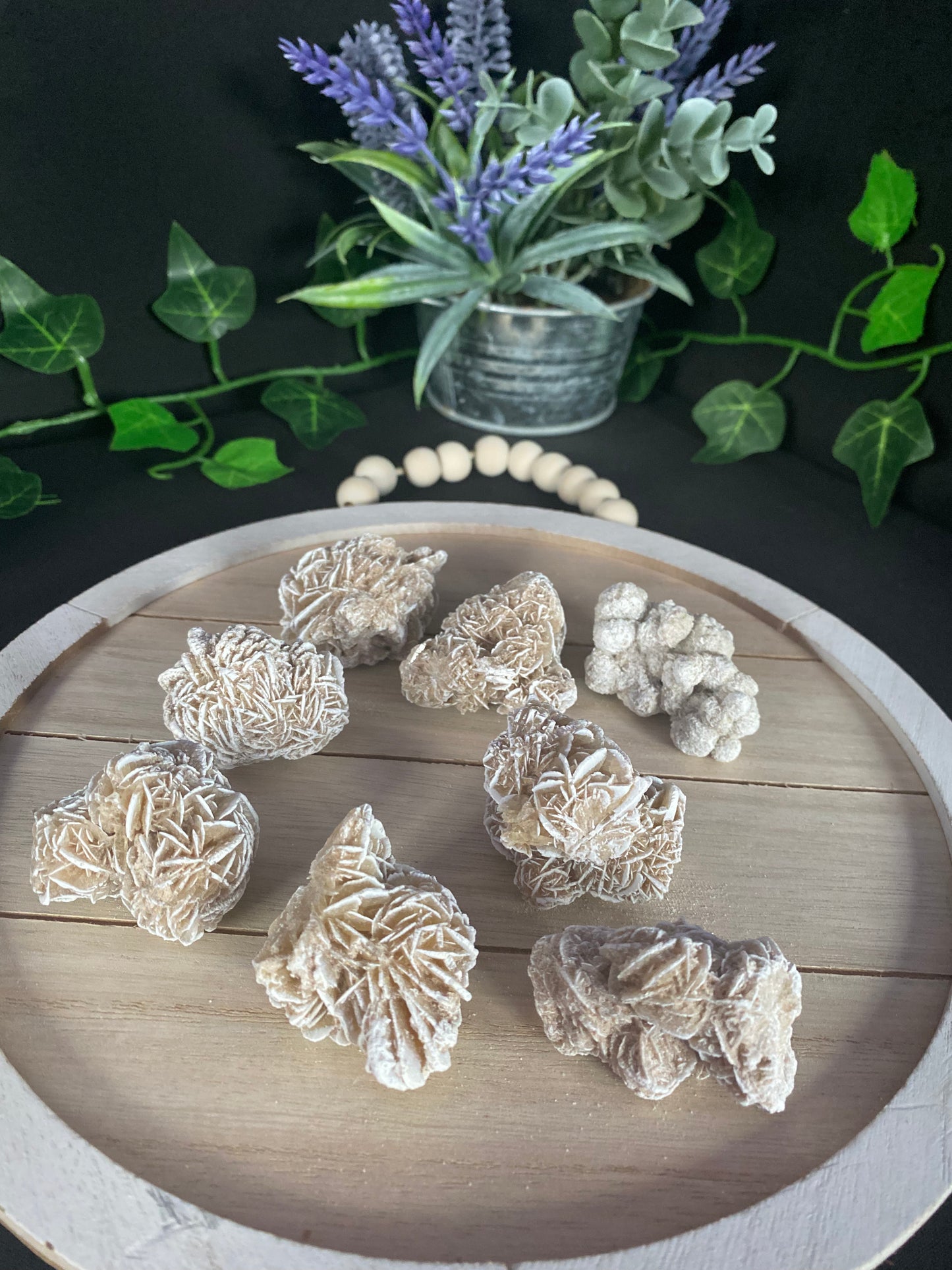 Desert Rose Selenite