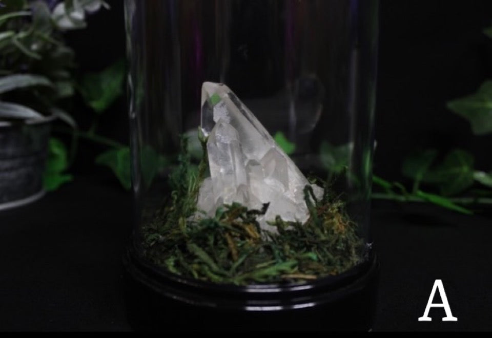 Crystal Moss Fairy Domes