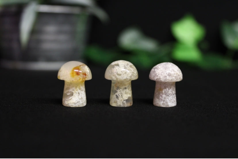 Mini Crystal Mushrooms